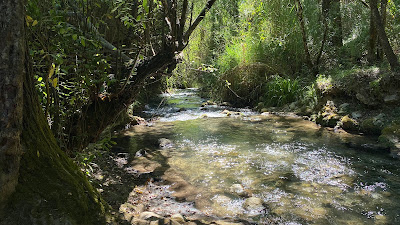 Inicio sendero rio Majaceite — fotografia 5