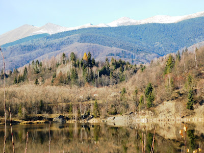 Câmpul lui Neag