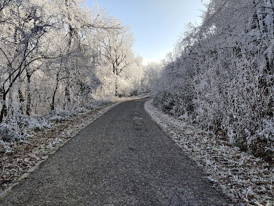 Két-bükkfa-nyereg — fotografia 3