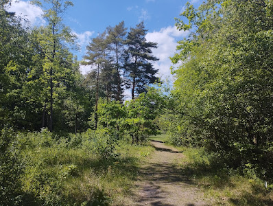 Botanical Garden, Soroksár — fotografia 3