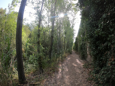 Sendero del Genil — fotografia 4