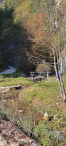 Izvoarele din Plai — fotografia 4