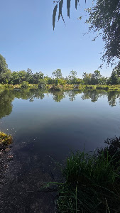 Fischgut Waldheim Angelweiher — fotografia 5
