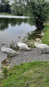 Liebmannsee — fotografia 3