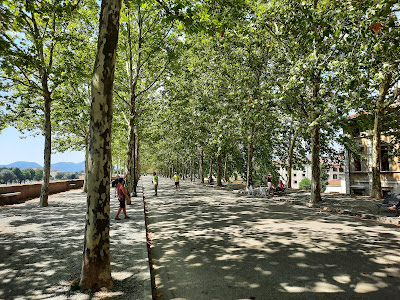 Mura di Lucca — fotografia 4