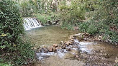 Área recreativa Molí L'Ombria — fotografia 4