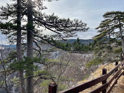 Видиковац Соколарица - Sokolarica Viewpoint — fotografia 3