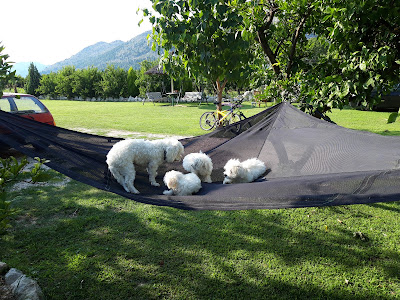 Good Energy Camping — fotografia 5