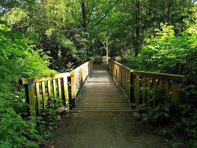 Julianen Park — fotografia 3