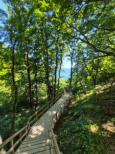 Møns Klint — fotografia 3