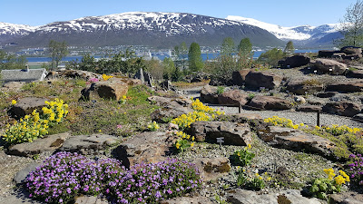 Arctic–Alpine Botanic Garden