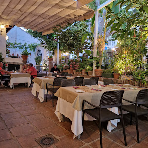 Restaurante Manolo — fotografia 5