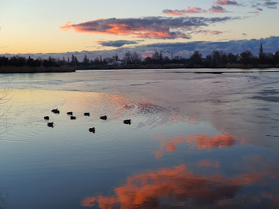 Palotavárosi-tavak — fotografia 4
