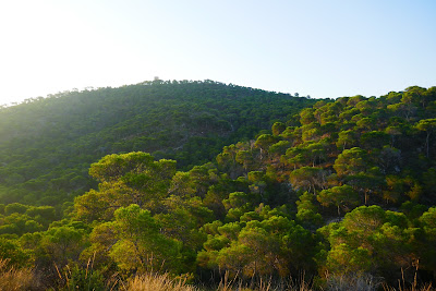 Ruta senderista Torre de l'Aguiló (inici) — fotografia 4