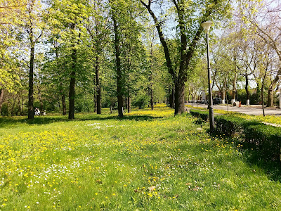 Parcul Ion C. Brătianu