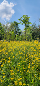 Tirana Lake Park — fotografia 5