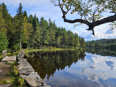 Lauvtjønna