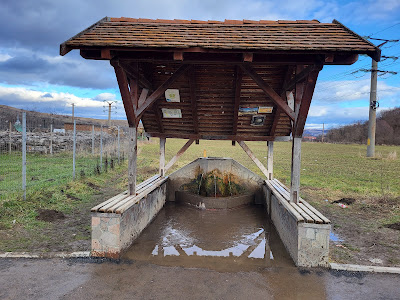Izvor apa minerala Biborteni — fotografia 4