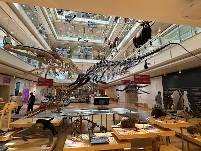 MUSE - Science Museum — fotografia 3