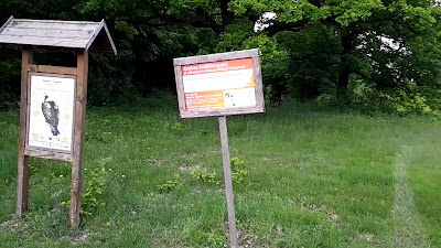 Erdőbényei fás legelő Természetvédelmi Terület — fotografia 2