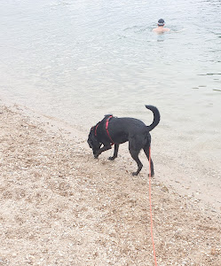 Binsfeldsee — fotografia 4