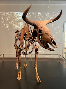 National Museum of Denmark — fotografia 4