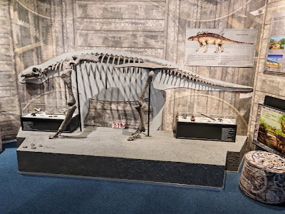 Pannon Sea Museum — fotografia 5