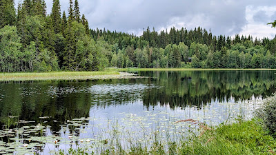 Koltjønna rasteplass