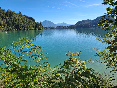 Straza hill above Lake Bled — fotografia 4