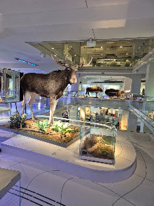 State Museum of Archaeology Chemnitz — fotografia 5