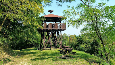 Dark Valley Forest Park — fotografia 3