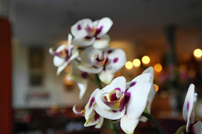Restaurant Hoa Quynh — fotografia 5