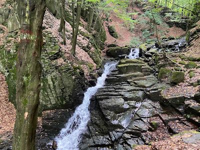 Cascada Văii Vâlcele Firiza