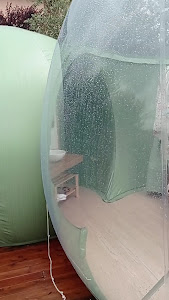 Villa Ulivi - Bubble Glamping - B&B — fotografia 2