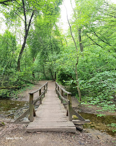 Rózsika spring — fotografia 5