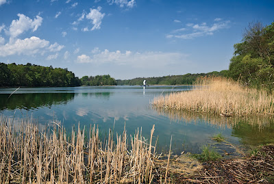 Greater Poland National Park — fotografia 3