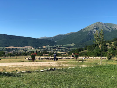 Agricamping Brandimarte — fotografia 3