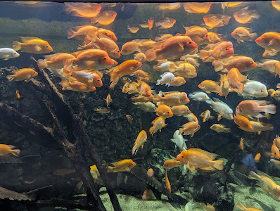 Zoo Tábor - A Fővárosi Állatkert Tábora — fotografia 5