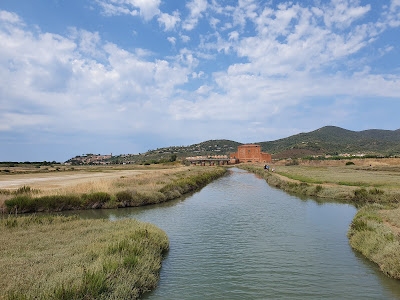 Riserva Naturale Diaccia Botrona - Maremma — fotografia 4