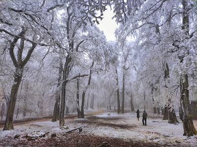 Dobogó-kő — fotografia 3