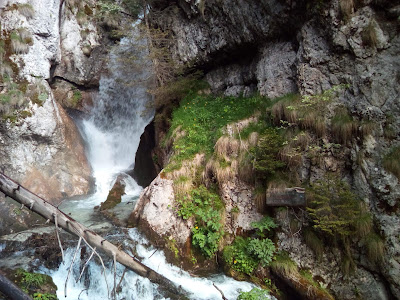 Valea Horoabei — fotografia 5