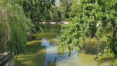 Grădina Cișmigiu — fotografia 2