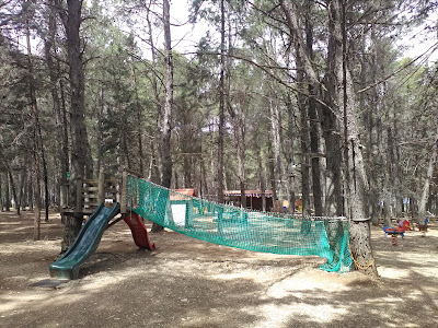 Area Picnic Foresta Mercadante