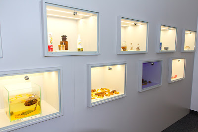 Amber Museum — fotografia 4