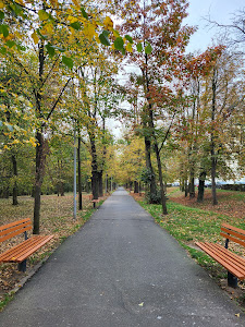 Parcul Sub Arini — fotografia 5