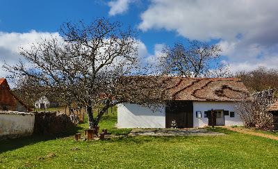 Míves Tojás Múzeum — fotografia 3