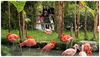 Parcul Natura Viva