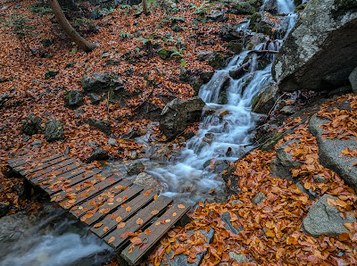 Las gorgas de Alba and Botanical Trail — fotografia 5
