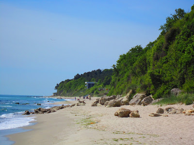 Fichoza Beach Veteran