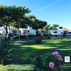 Camping Vallecrosia — fotografia 4